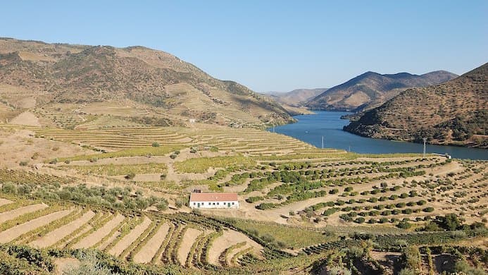 Rosino via Wikimedia Commons